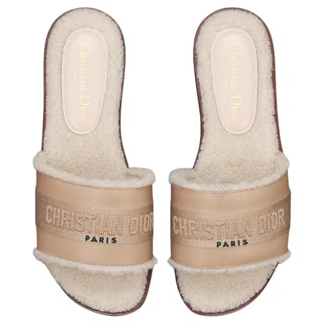 DIOR Dway
