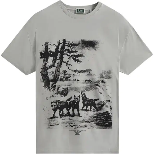 KITH x AMNH T