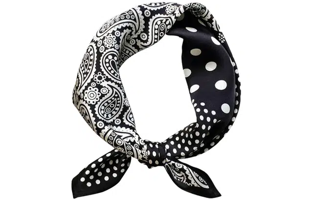 优幽兰 时尚潮流小众设计感腰果花头巾小方巾简约高级感领巾围脖子搭配衬衫西装薄围巾 丝巾 女款