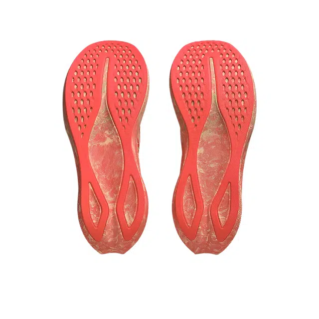 Asics NOOSA TRI 16