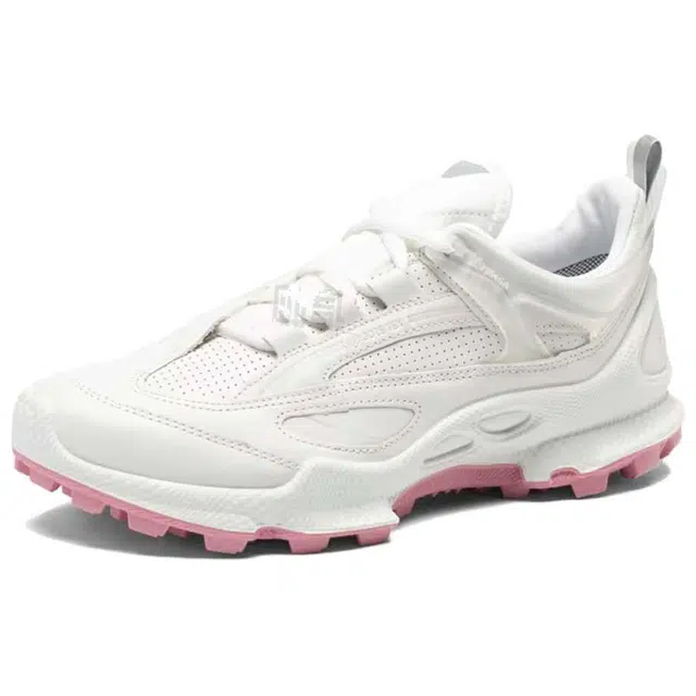 ecco Biom C Trail