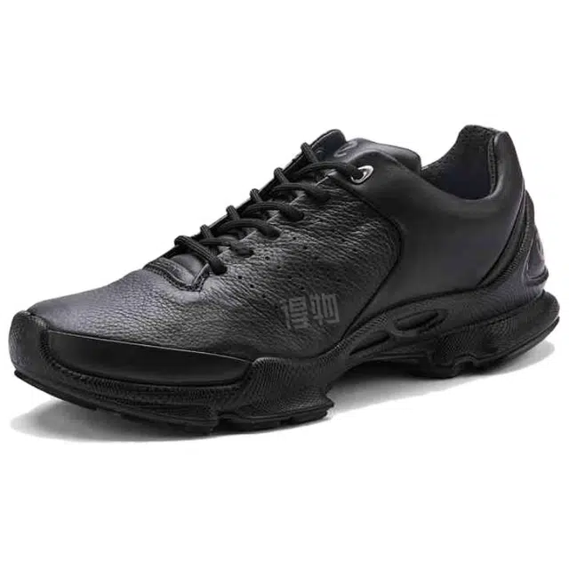 ecco BIOM C