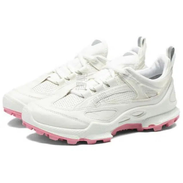 ecco Biom C Trail