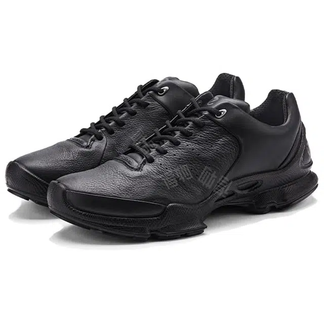 ecco BIOM C