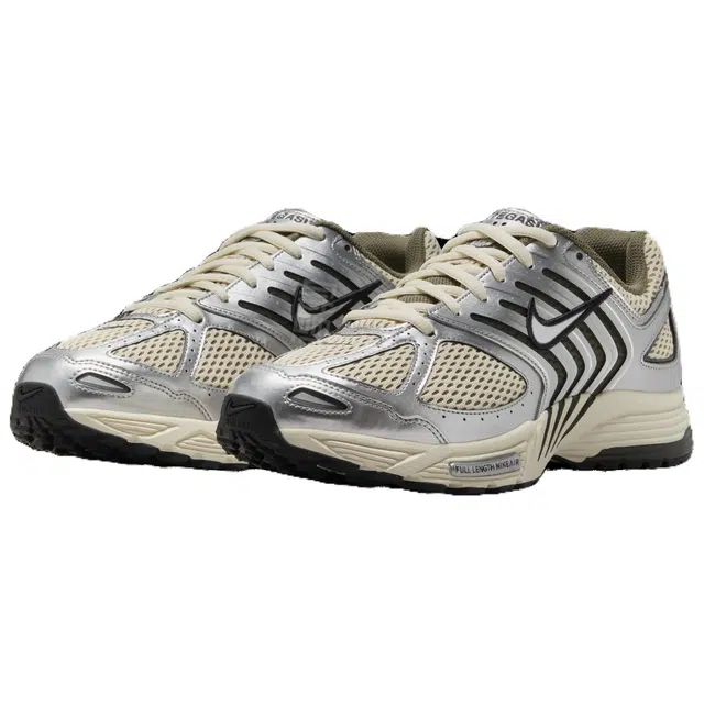 Nike Air Pegasus 2005