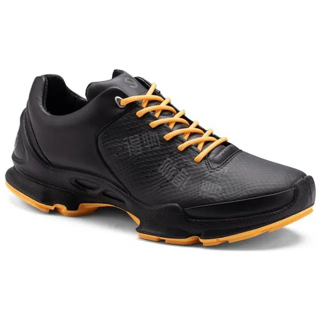 ecco BIOM C