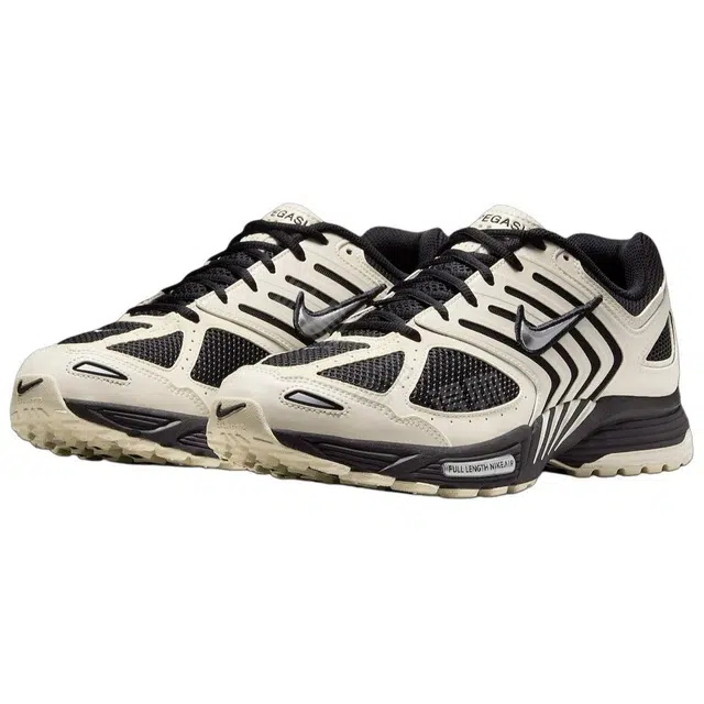 Nike Air Pegasus 2005
