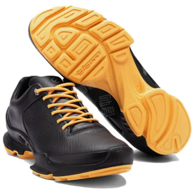 ecco BIOM C