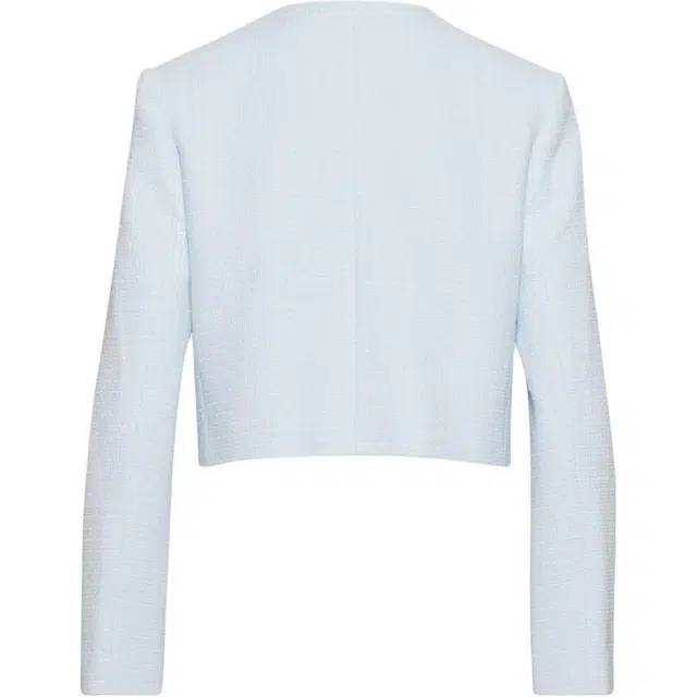 ARITZIA Babaton Anchor Jacket