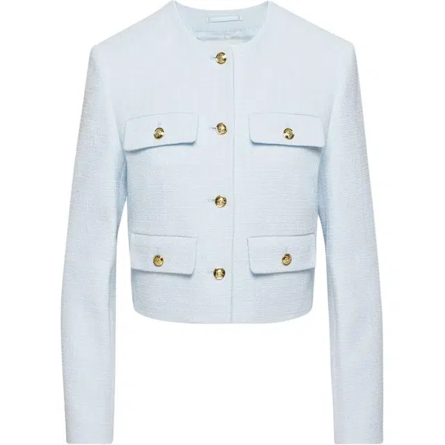 ARITZIA Babaton Anchor Jacket