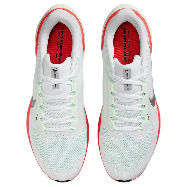 Nike Air Zoom Pegasus 41