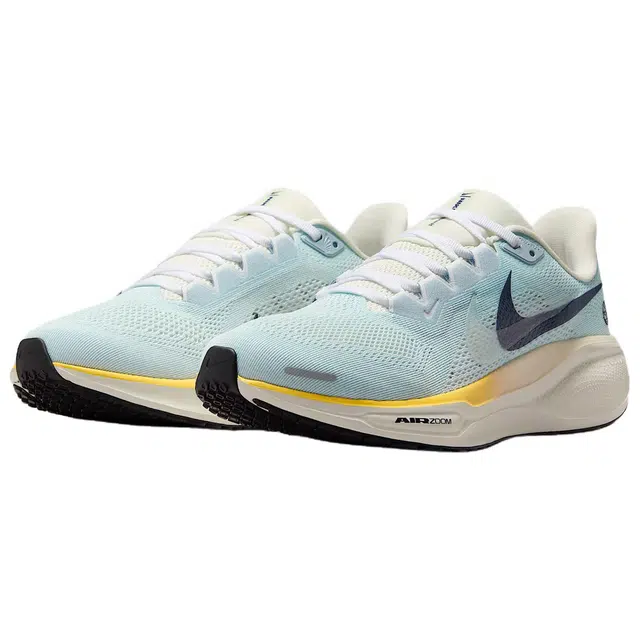 Nike Air Zoom Pegasus 41