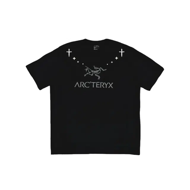 Arcteryx logoT