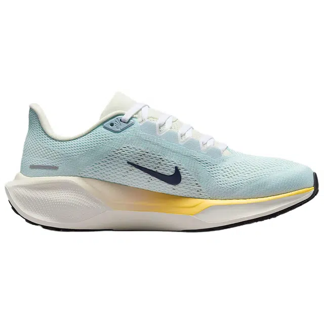 Nike Air Zoom Pegasus 41