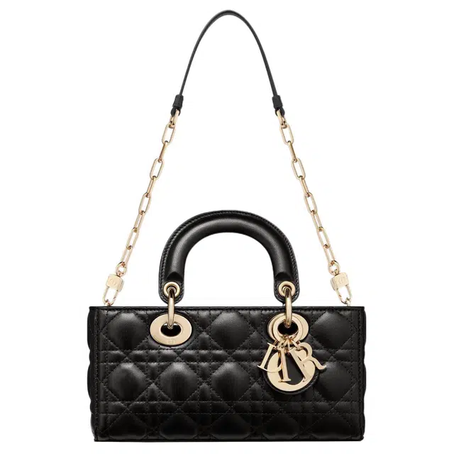 DIOR Lady D-JOY
