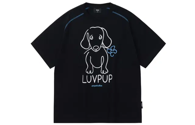 PCLP T