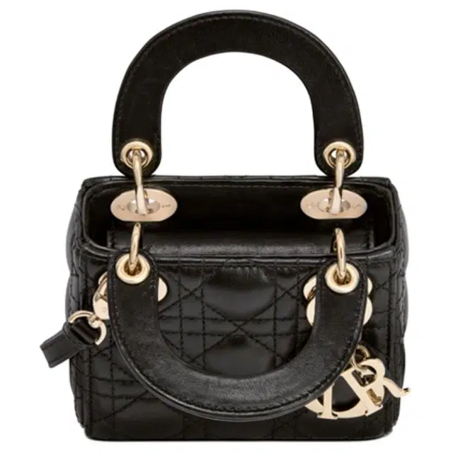 DIOR Lady Dior Logo