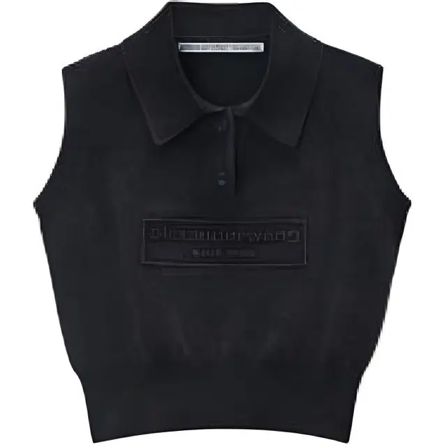 alexander wang Polo