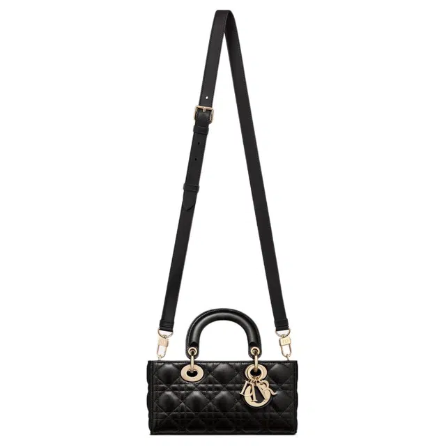 DIOR Lady D-JOY