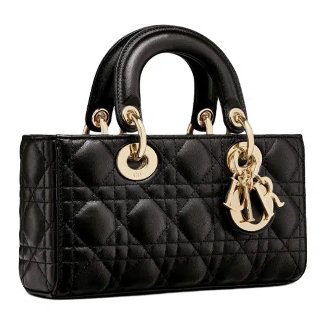DIOR Lady D-JOY