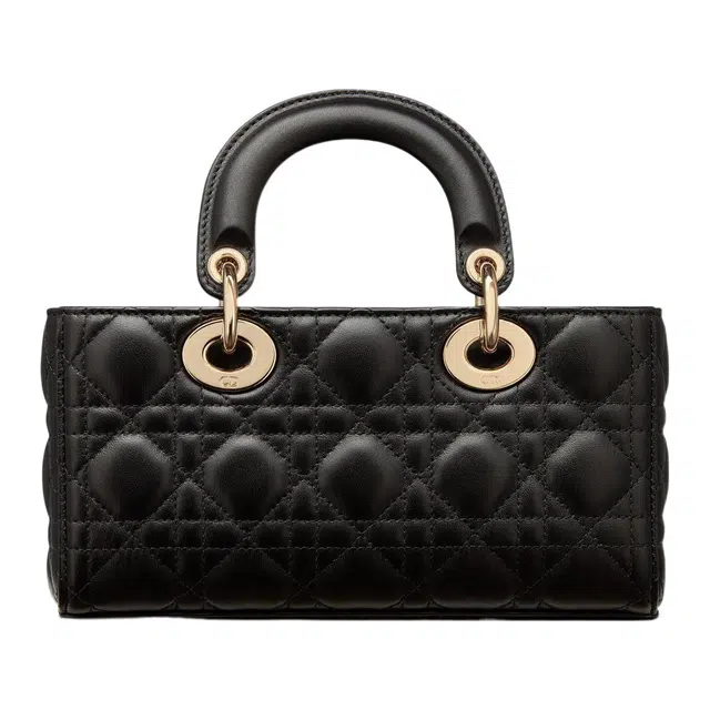 DIOR Lady D-JOY
