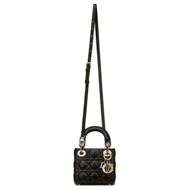 DIOR Lady Dior Logo