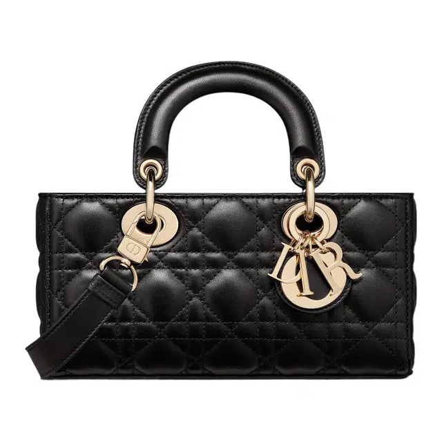 DIOR Lady D-JOY
