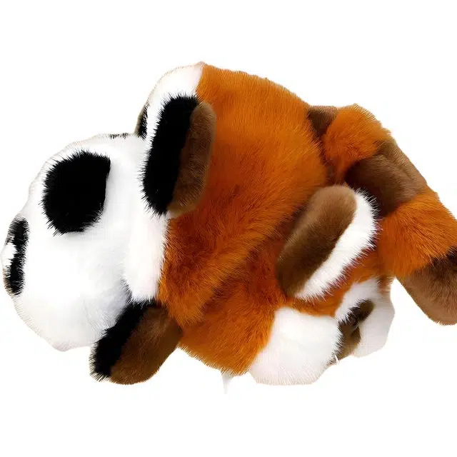 FKOFR 28cm38cm