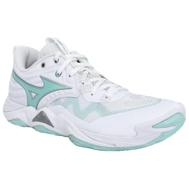 Mizuno WAVE MOMENTUM ELITE
