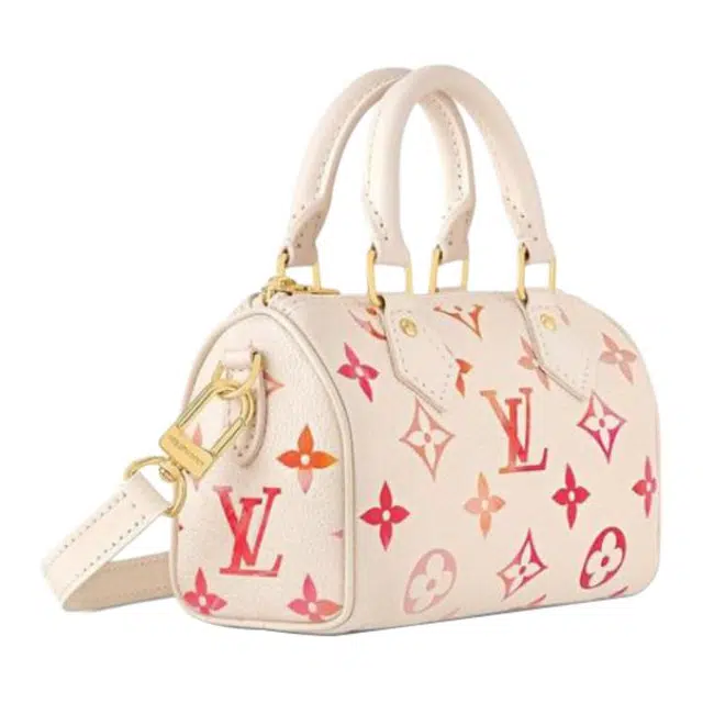 LOUIS VUITTON Nano Speedy