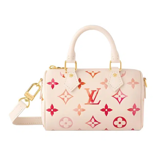 LOUIS VUITTON Nano Speedy