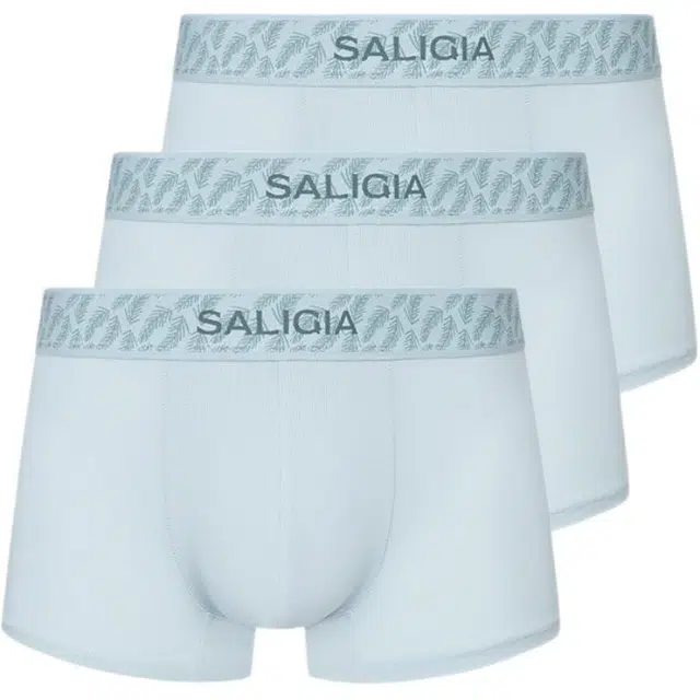 SALIGIA 3