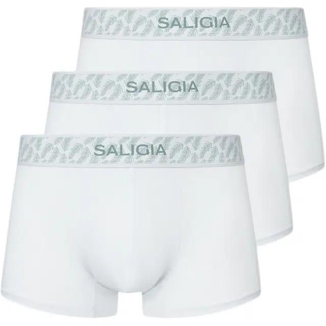 SALIGIA 3