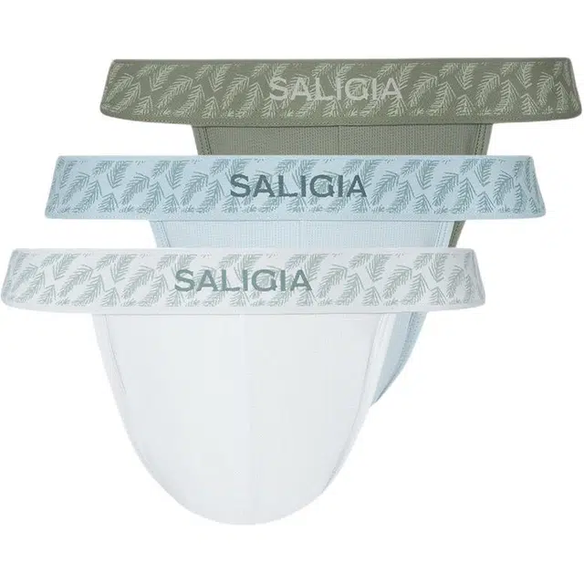 SALIGIA 3