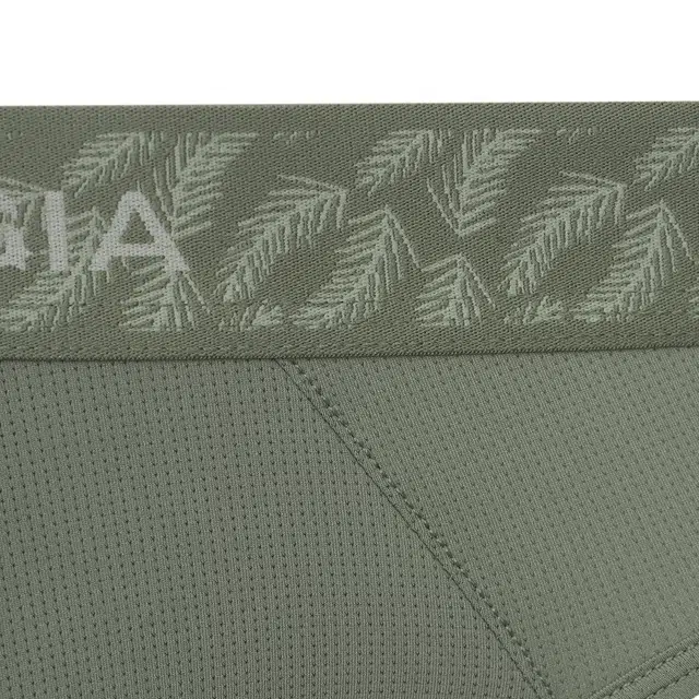 SALIGIA 3