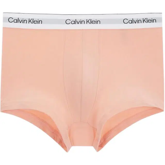 CALVIN KLEIN Logo 2
