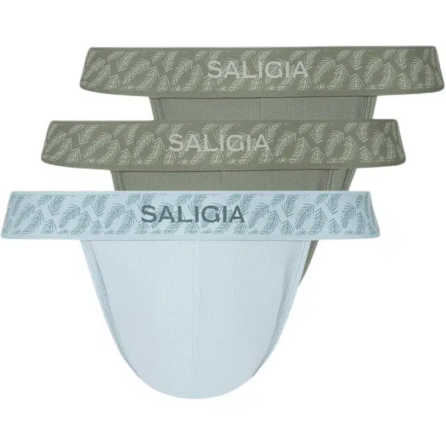 SALIGIA 3