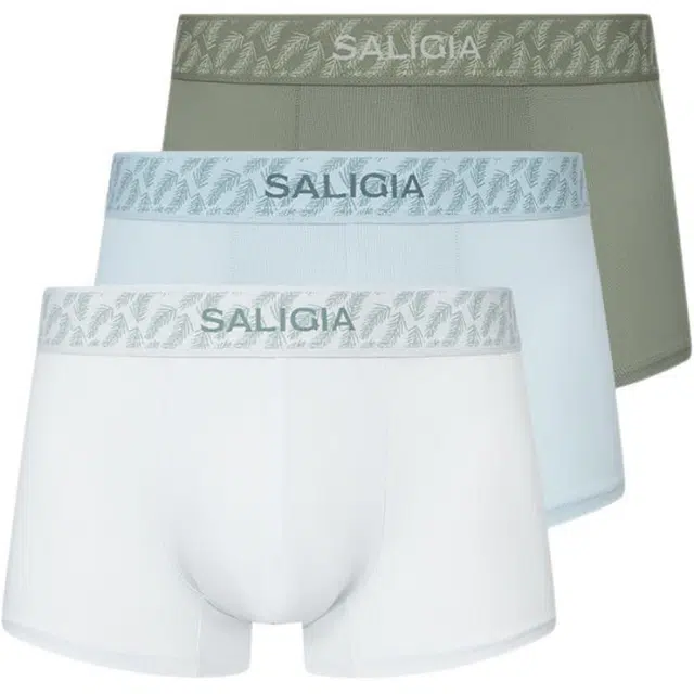 SALIGIA 3