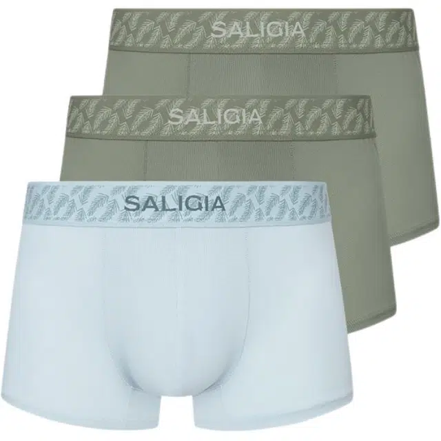 SALIGIA 3