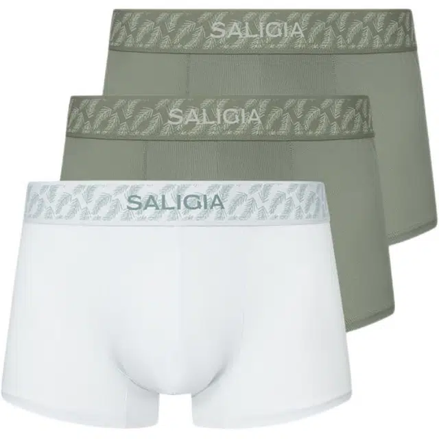 SALIGIA 3