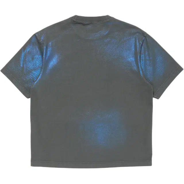 Acne Studios FW25 T