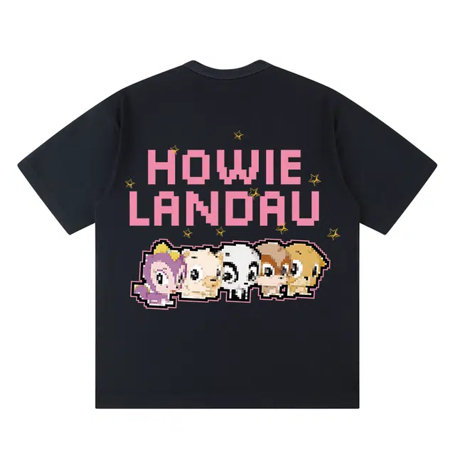 HOWIE LANDAU T