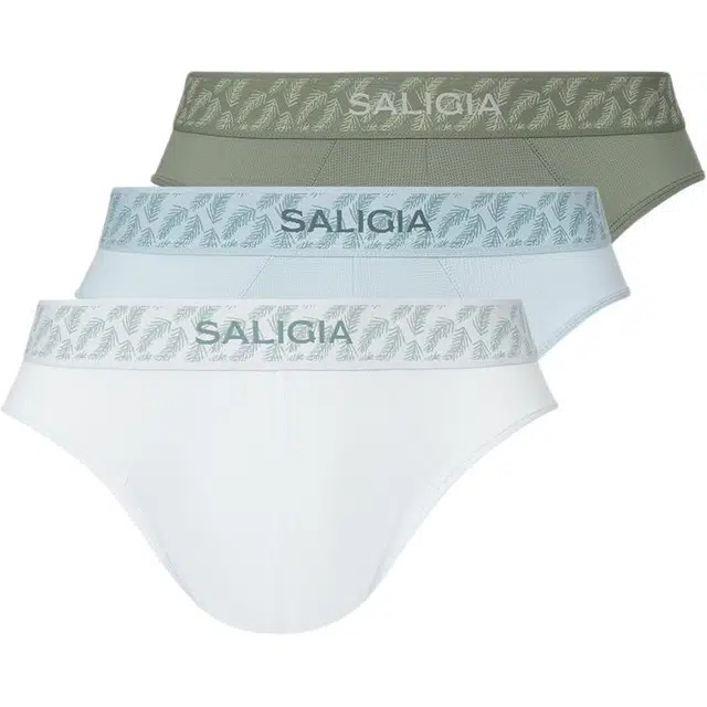 SALIGIA 3