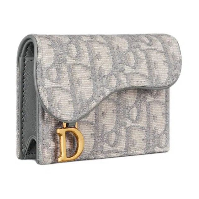 DIOR Saddle Oblique