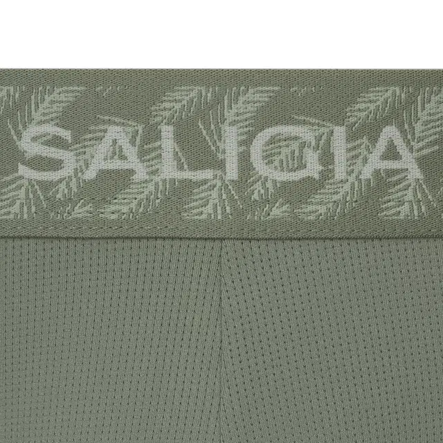 SALIGIA 3