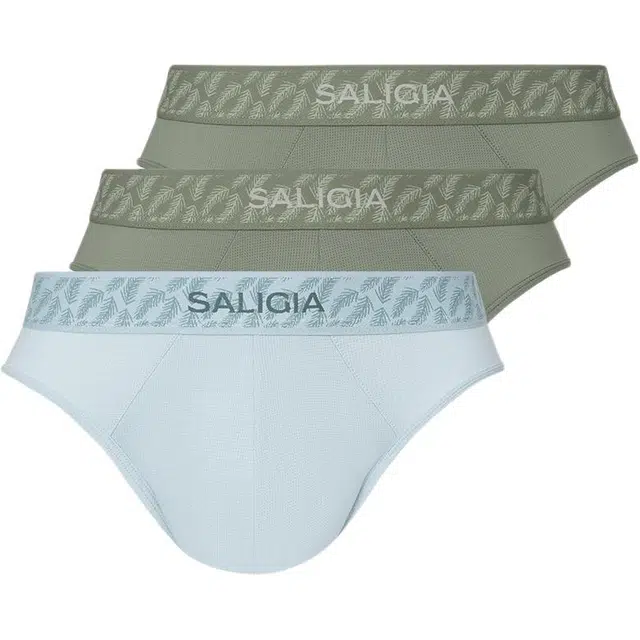 SALIGIA 3