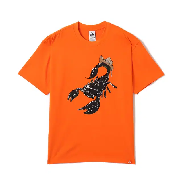 Nike Dri-Fit SS25 AS M ACG OC SCORPION SUMMIT T