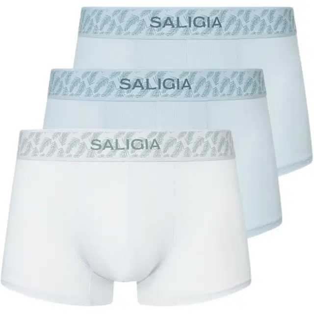 SALIGIA 3