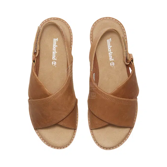 Timberland Safari