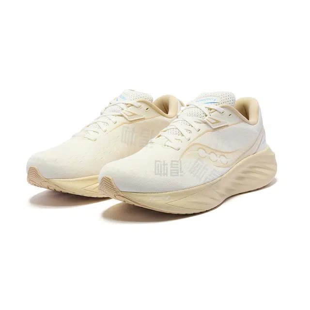 Saucony TRIUMPH 22